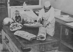 december 1974 preparing for the festive season sm.jpg